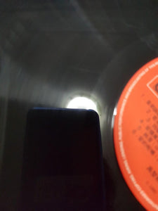 Lps 禹黎朔 茉莉诉愿黑胶唱片vinyl 第一面两三条轻刮痕 - GOMUSICFORUM Singapore CDs | Lp and Vinyls 